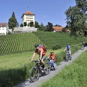 Schloss Heidegg