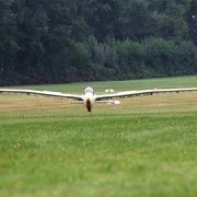 LSG Erbslöh Ein Segelflugzeug im Landeanflug auf eine grüner Landingstrip mit Waldrand im Hintergrund.