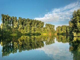 Menzelsee in Hilden Blick auf den Menzelsee in Hilden mit umliegenden, üppig bewaldeten Ufern und klarem Himmel.
