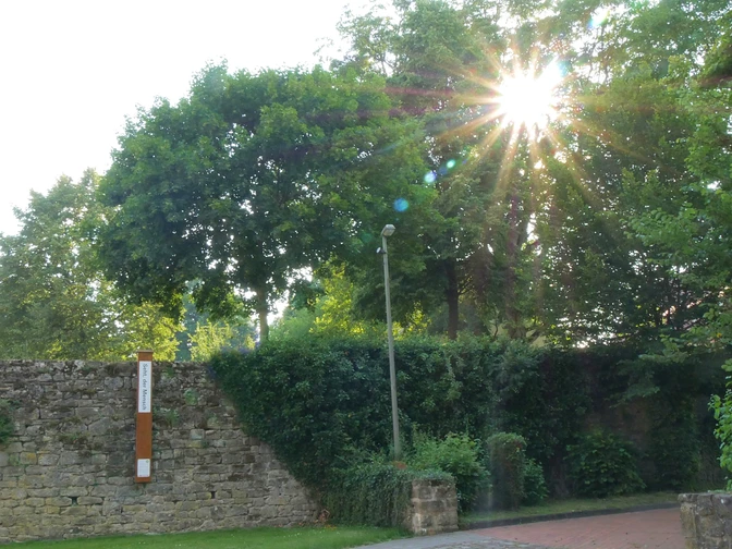 Sonnenstrahlen durchdringen Bäume neben einer gemauerten Wand mit einem Bibel-Pfahl in Gehrden.