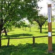 Bibel-Pfahl 36 - Bellersen Ein hoher Pfahl mit Bibelverse in grüner Wiesenlandschaft, umgeben von Bäumen und einem Zaun.