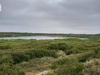Aussichten - Spaziergang Juist.jpg.jpg Hammersee