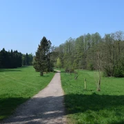 Silvaticum Ein breiter Schotterweg führt durch eine grüne Wiese, gesäumt von einer Baumreihe unter klarem Himmel.