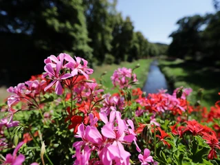 043HR - Bad Salzschlirf - Kurpark.JPG
