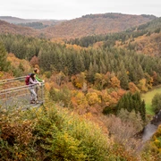 Blick ins Liesertal vom Burgberg bei Karl, Eifelsteig-Etappe 12
