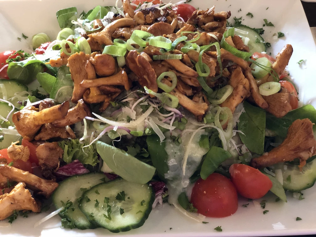 Salat mit Pfifferlingen Bunte Salatmischung mit knackigen Gurken, Kirschtomaten und frischen Pfifferlingen garniert.