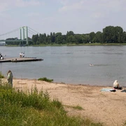 Cologne Riviera Der Rheinstrand in Rodenkirchen mit Blick auf die grüne Vegetation, das Ufer und den Fluss bietet eine entspannte Atmosphäre. Im Hintergrund erstreckt sich eine Brücke über den Fluss, während Menschen am Ufer entspannen oder spazieren gehen.The Rhine beach in Rodenkirchen with a view of the green vegetation, the bank and the river offers a relaxed atmosphere. In the background, a bridge stretches across the river while people relax or stroll along the banks.