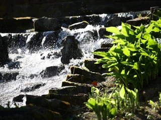 Bad_Nauheim_200420_13.JPG