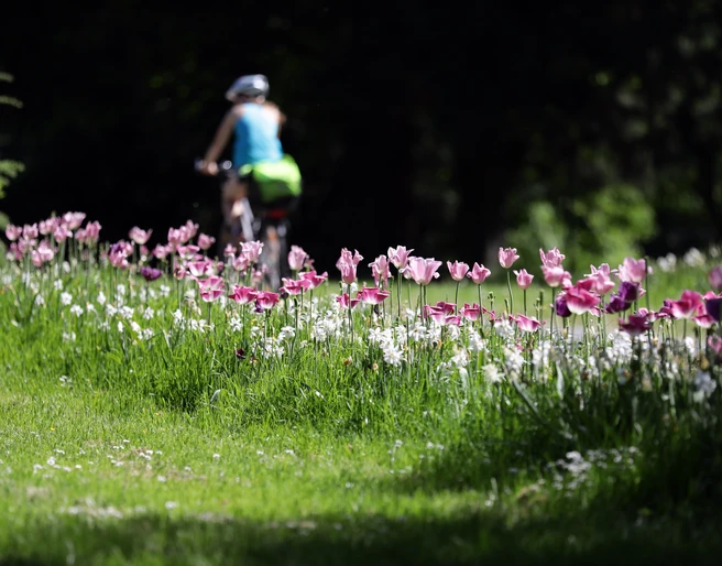 054HR - Bad Vilbel - Kurpark.JPG