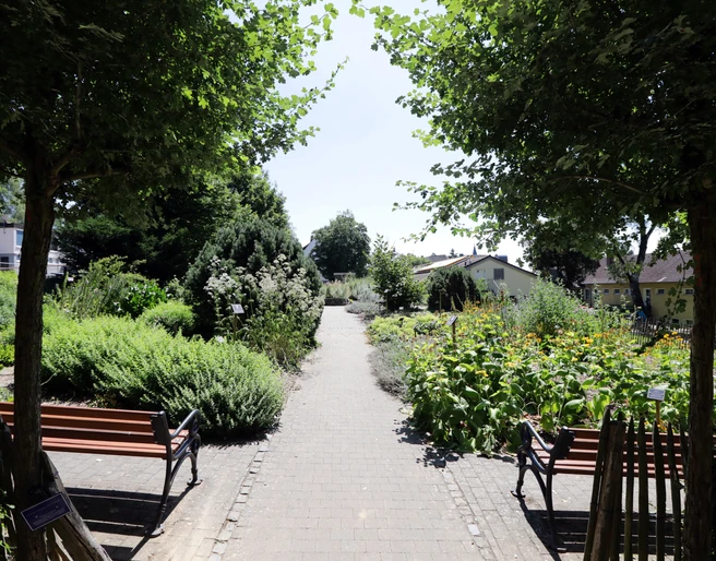 Kneipp-Kräutergarten Bad Camberg - Kneipp-Kräutergarten