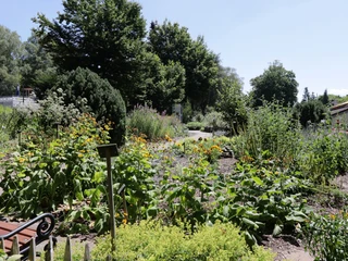 Bad Camberg - Kneipp-Kräutergarten