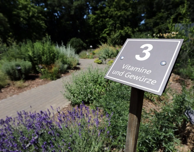 081HR - Bad Camberg - Kneipp-Kräutergarten.JPG