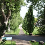 Eine von Bäumen gesäumte Allee führt auf ein beeindruckendes Schloss im Hintergrund zu.