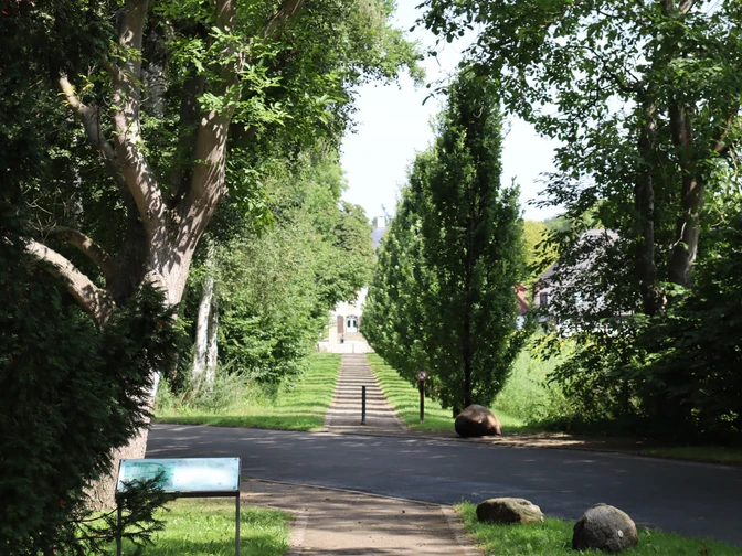 schloss-benkhausenJPG Eine von Bäumen gesäumte Allee führt auf ein beeindruckendes Schloss im Hintergrund zu.