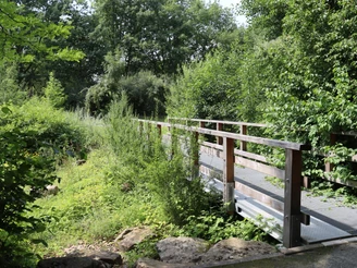 Holzbrücke im Kurpark Rothenuffeln, umgeben von grüner Vegetation und Bäumen an einem sonnigen Tag.