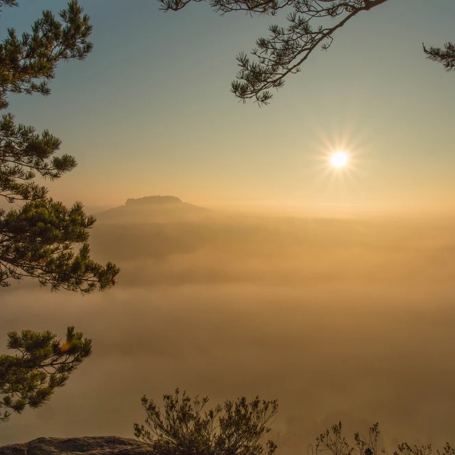 Sonnenaufgang Pfaffenstein im Herbst S.Rose.jpg