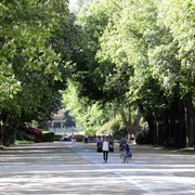048HR - Bad Homburg - Kurpark Brunnenallee.JPG