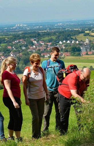 Eine Gruppe wandert auf einem grünen Hügel mit Fernblick auf eine Kleinstadt und bewaldete Gebiete.