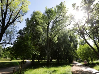 001HR - Bad Homburg - Kurpark.JPG