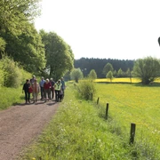 Ellerbachtal bei Paderborn-Dahl  Eine Gruppe von Wanderern spaziert auf einem Naturweg im Ellerbachtal, umgeben von blühenden Wiesen.