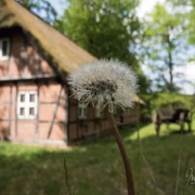 radenbachtal-foto©madeline-pagenkemper.jpg