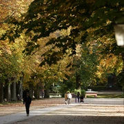 276HR - Bad Homburg - Kurpark Brunnenallee Herbst.JPG