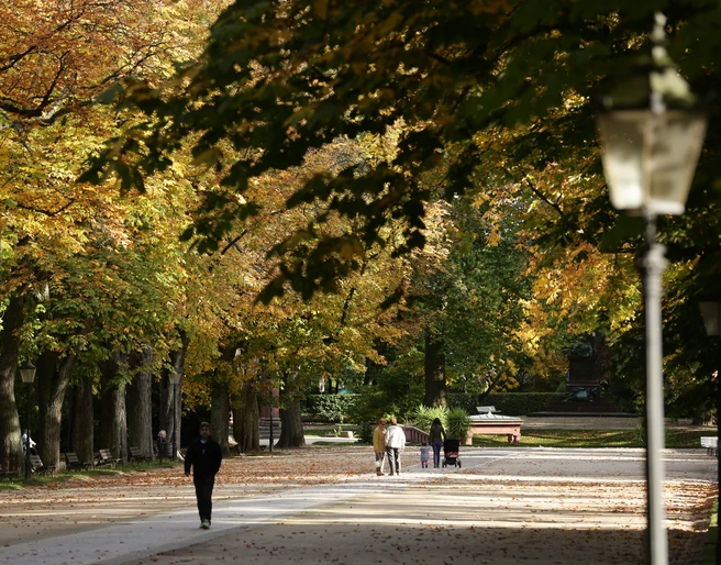 276HR - Bad Homburg - Kurpark Brunnenallee Herbst.JPG