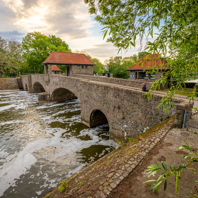 Elsterwehr im Palmengarten Leipzig - Grünes Leipzig