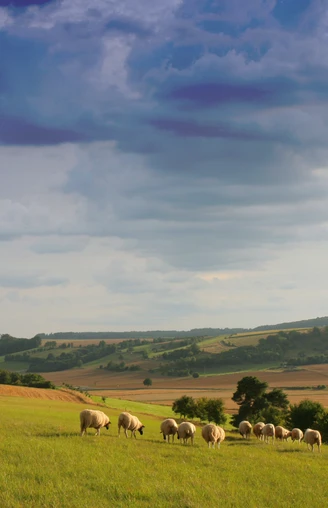 Aussicht  - NaturTour Nidda