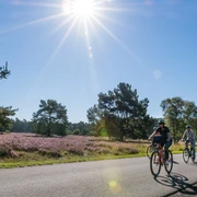 Radfahren im Paderborner Land | Senne bei Hövelhof