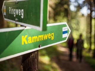 Auf dem Kammweg Erzgebirge-Vogtland