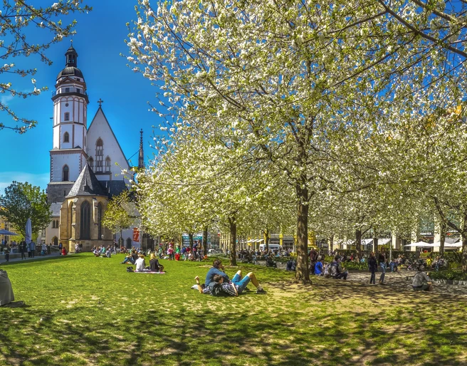 Wiese vor der Thomaskirche Leipzig - Erlebnisse und Touren in Leipzig