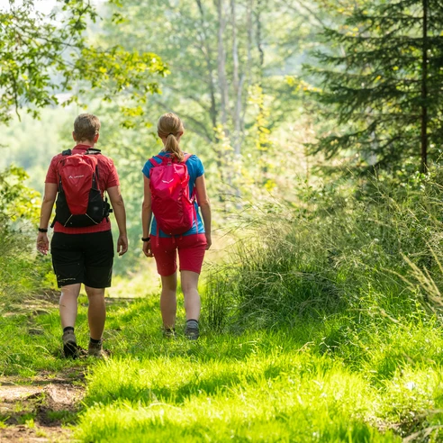 Wandern Heckberg Zwei Wanderer mit Rucksäcken spazieren auf einem grünen Waldweg im Sonnenlicht.