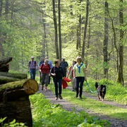 Merschetal Wanderer spazieren auf einem Waldweg, umgeben von hohen Bäumen und frischem Frühlingsgrün.