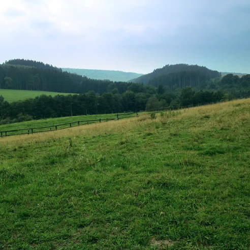 Rundwanderung Marschallshagen | Lichtenau Rundwanderung Marschallshagen | Lichtenau