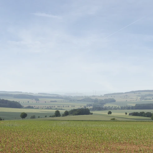 Landschaft bei Alverdissen CC BY-SA - LTM.jpg