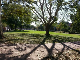 195EA - Wiesbaden - Kurpark.jpg