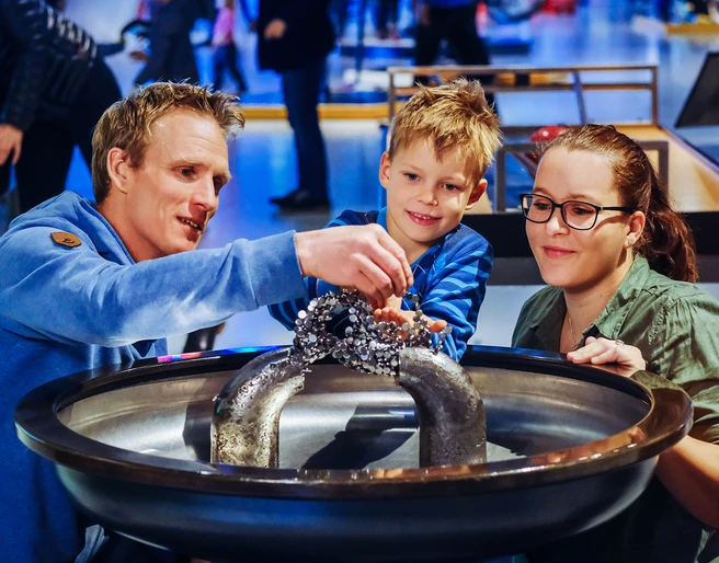 Magnetischer Sand im phaeno Magnetischer Sand im phaeno