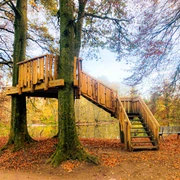 Beobachtungsplattform im herbstlichen Erlebnispfad Holter Wald in Schloß Holte-Stukenbrock Beobachtungsplattform im herbstlichen Erlebnispfad Holter Wald in Schloß Holte-Stukenbrock