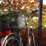 Fahrrad in Schloß Holte-Stukenbrock Fahrrad in Schloß Holte-Stukenbrock