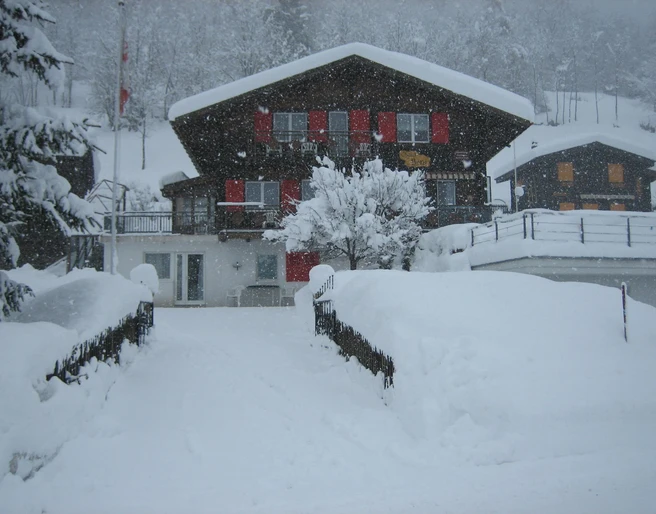 Fiesch (88)