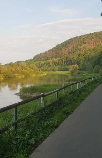 11_hx_zbih_weserradweg_wuergassen_stephanberg.jpg Radweg entlang eines Flusses mit bewaldetem Hang im Hintergrund und üppiger Vegetation.
