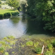Fluss mit klarem Wasser und grünen Ufern, flankiert von üppiger Vegetation und angrenzenden Feldern.