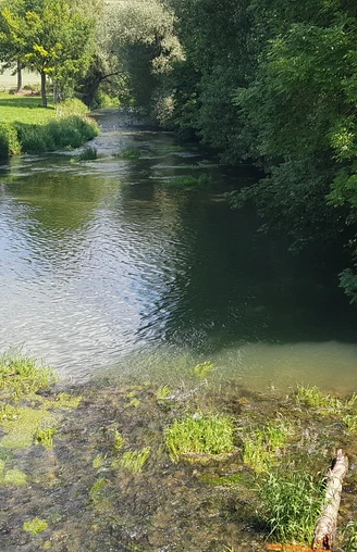 nethe (1).jpg Fluss mit klarem Wasser und grünen Ufern, flankiert von üppiger Vegetation und angrenzenden Feldern.