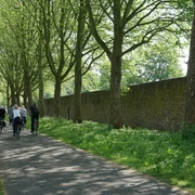 weserradweg-thomashampel.JPG Radweg unter Bäumen entlang einer alten, hohen Steinmauer