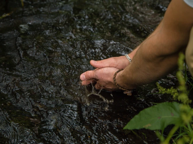 Hände im Fluss Zwei Hände berühren sanft das klare Wasser eines Flusses, umgeben von üppigem Grün.
