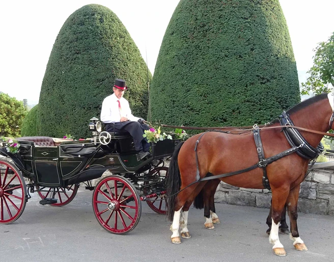 kutschenfahrt-aeschi-offene-kutsche-geschmueckt-bereit-zur-fahrt.jpg