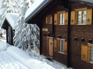 Chalet Zur Tanne an der Aletschpromenade