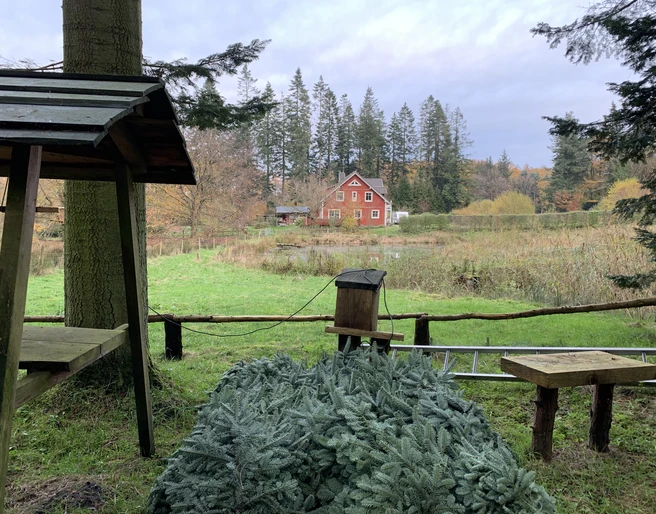 Gutshaus Forstgut Quellental