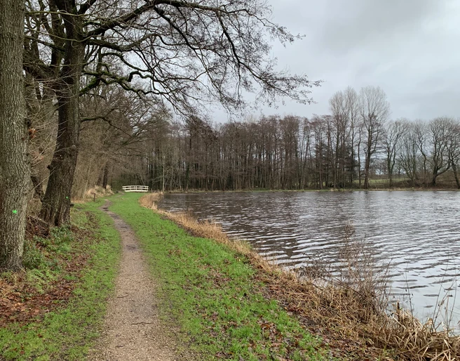 Mühlenteich mit Brücke